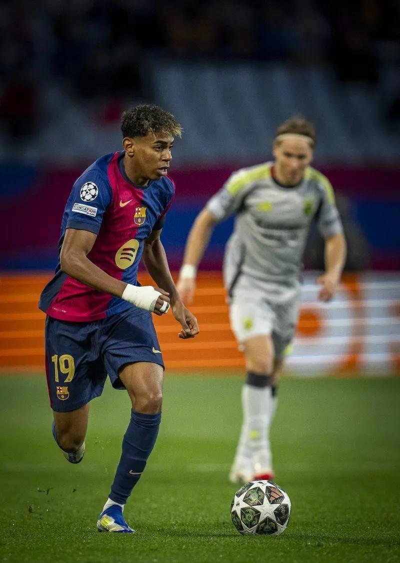 米兰体育-砍自家树被罚14万最新消息